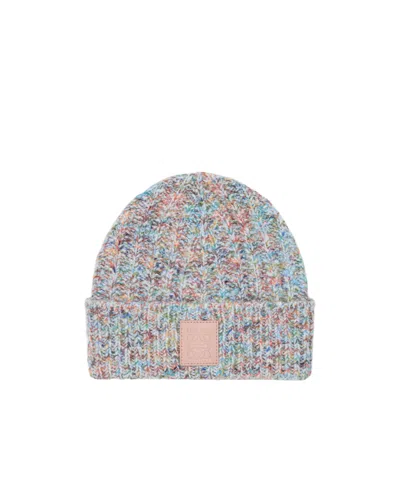 Loewe Wool And Cashmere Blend Beanie In Multi