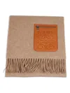Loewe Wool And Cashmere Scarf In Brown