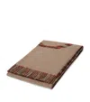 Loewe Wool-cashmere Anagram Blanket In Brown