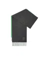 Loewe Wool Cashmere Rectangular Scarf In Black