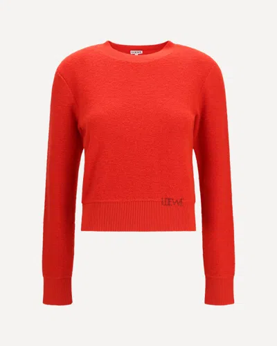 Loewe Wool Sweater In Brown