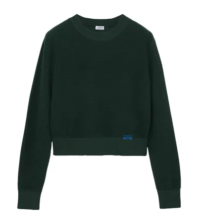 Loewe Wool-blend Embroidered Sweater In Green