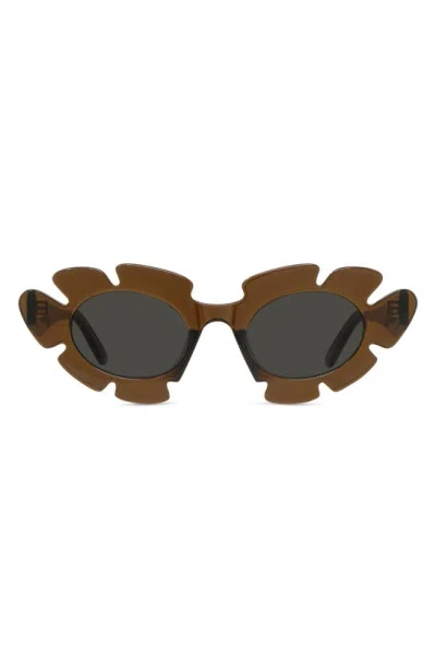 Loewe X Paula's Ibiza 47mm Cat Eye Sunglasses In Brown/gray Solid