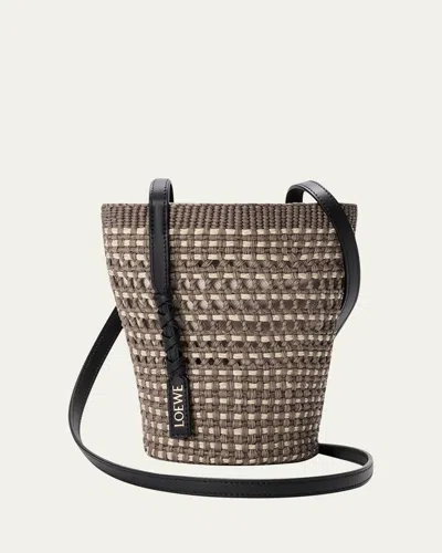 Loewe X Paula's Ibiza Braid Woven Palm Leaf Crossbody Bag In Brown