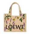 Loewe Font Flowers Small Raffia Tote Bag In Beige