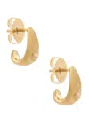 Logan Hollowell Water Drop Diamond Baby Tusk Earrings In Gold