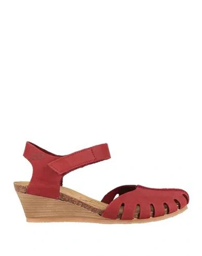 Loints Of Holland Woman Sandals Brick Red Size 5 Leather In Black