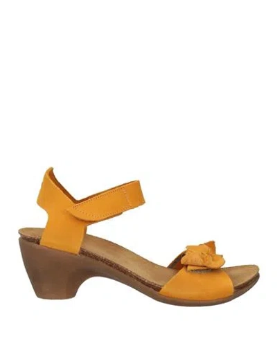 Loints Of Holland Woman Sandals Ocher Size 6 Leather In Yellow