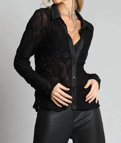 Lola And Sophie Stretch Lace Shirt In Black