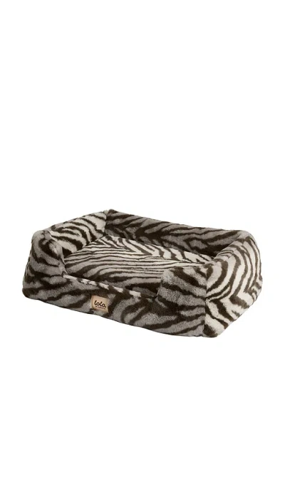 Lola Blankets Medium Pet Bed 미디엄 펫 베드 In Multi