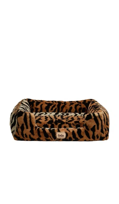 Lola Blankets Large Pet Bed 라지 펫 베드 In Multi