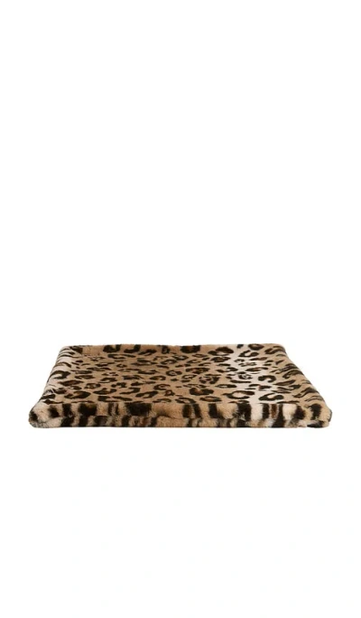 Lola Blankets Pet Pad 반려동물 패드 In Multi