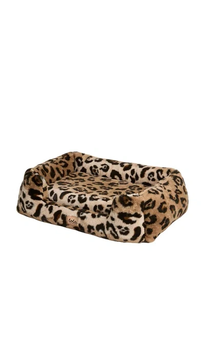 Lola Blankets Small Pet Bed 스몰 펫 베드 In Multi