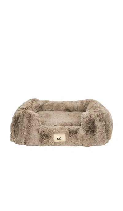 Lola Blankets The Small Pet Bed In Desert Dune