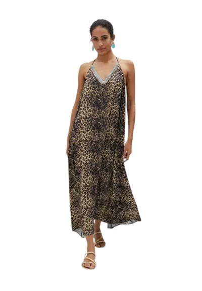 Lola Casademunt Women's Dress  ♪ In Brown
