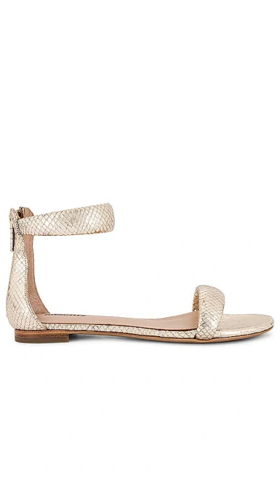 Lola Cruz Amy Sandal In 铂金