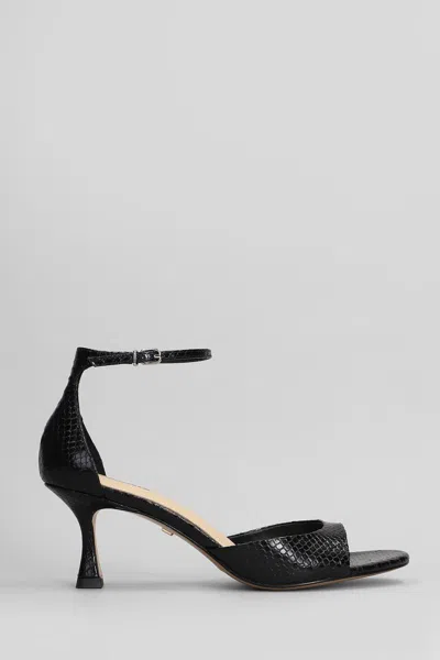 Lola Cruz Petrina Sandals In Black
