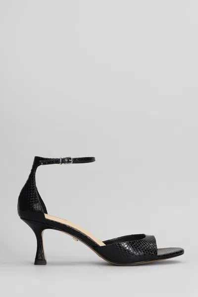 Lola Cruz Petrina Sandals In Black Leather