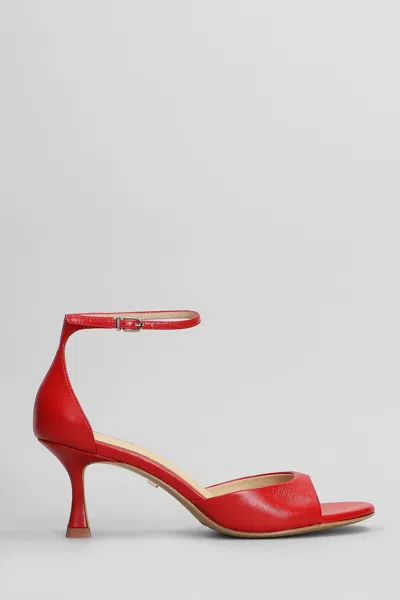 Lola Cruz Petrina Sandals In Red Leather