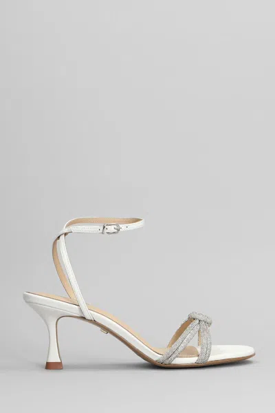 Lola Cruz Sandals