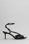 Lola Cruz Streep 65 Sandals In Black Leather In Black