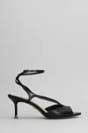 Lola Cruz Streep 65 Sandals In Black Leather In Black