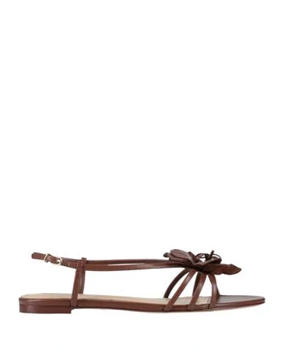 Lola Cruz Woman Sandals Chocolate Brown Size 8 Leather