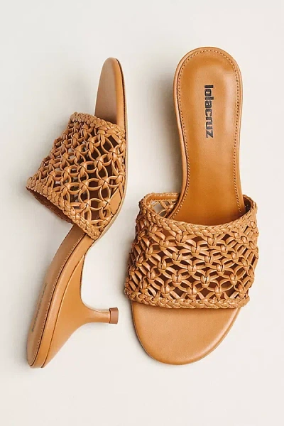 Lola Cruz Woven Heeled Mule Sandals In Brown