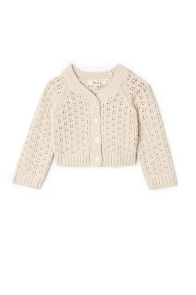 Lola Kids'  Pointelle Button-front Knit Cardigan In Neutral