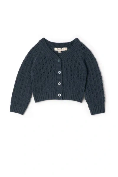 Lola Babies'  Pointelle Knit Button Front Cardigan With Scalloped Trim In Blue