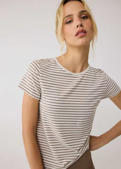 Lole Dynamic Short Sleeve In Cream Stripe