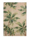Loloi Botanical Indoor/outdoor Accent Rug