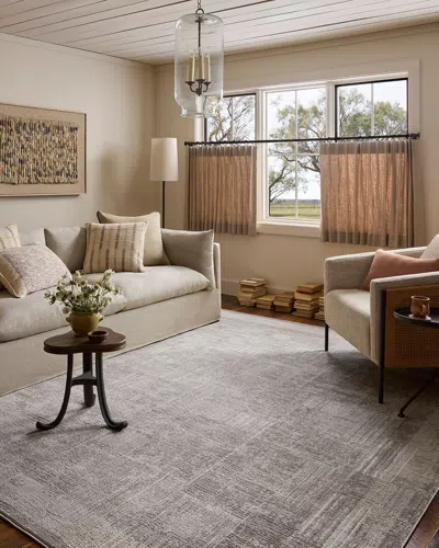 Loloi Hollis Area Rug In Gray