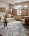 Loloi Hollis Area Rug In Gray
