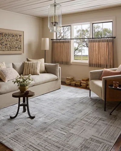Loloi Hollis Area Rug In Gray