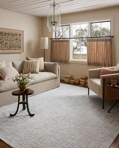 Loloi Hollis Area Rug In Gray