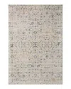 Loloi Leigh Lei-07 Area Rug, 5'3 X 7'6 In Ivory