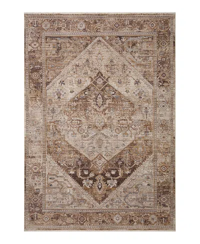 Loloi Lyra Lyr-07 Area Rug 4'0x5'7 In Brown