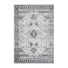Loloi Skye Indoor Rectangular Accent Rug In Gray