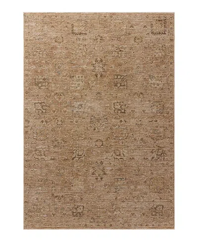Loloi Willa Wia-01 Area Rug 9'3x13' In Brown