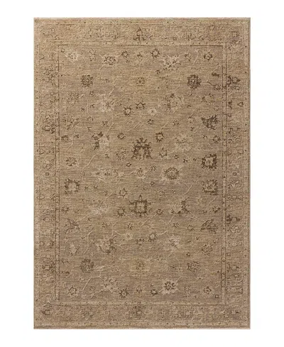 Loloi Willa Wia-02 Area Rug 12'x15'6 In Brown