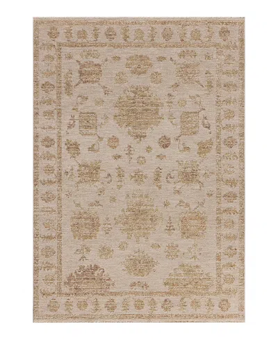 Loloi Willa Wia-07 Area Rug 9'3x13' In Brown