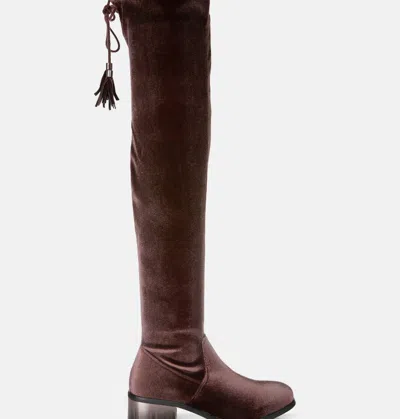 London Rag Rumple Velvet Over The Knee Clear Heel Boots In Dark Brown