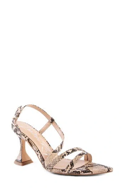 London Rag Snakeskin Print Sandal In Macchiato