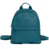 Longchamp 3d Small Backpack In Cypress In Multi