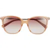 Longchamp 54mm Cat Eye Gradient Sunglasses In Pattern