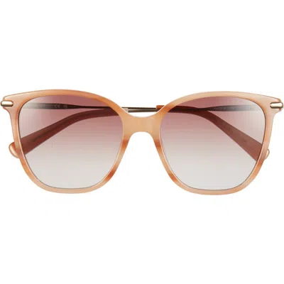 Longchamp 54mm Cat Eye Gradient Sunglasses In Pattern