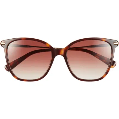 Longchamp 54mm Cat Eye Gradient Sunglasses In Orange