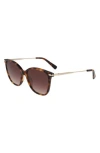 Longchamp 54mm Gradient Cat Eye Sunglasses In Havana/brown Gradient