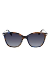 Longchamp 54mm Gradient Cat Eye Sunglasses In Pearly Blue Havana